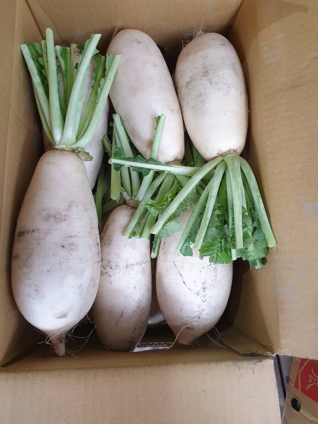 聖方濟老人長期照顧中心-募款專案